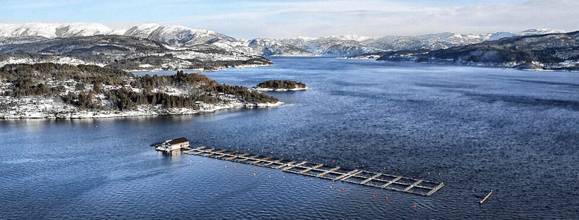 Eide Fjordbruk lokalitet. Foto: Eide Fjordbruk.
